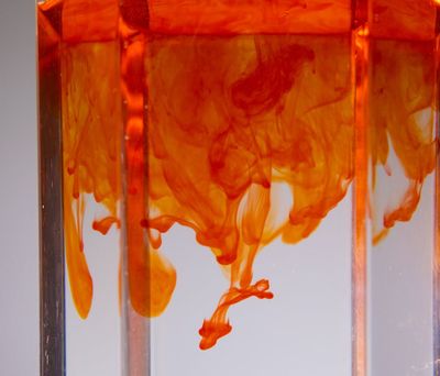 A dynamic yoga flow pose captured in motion.